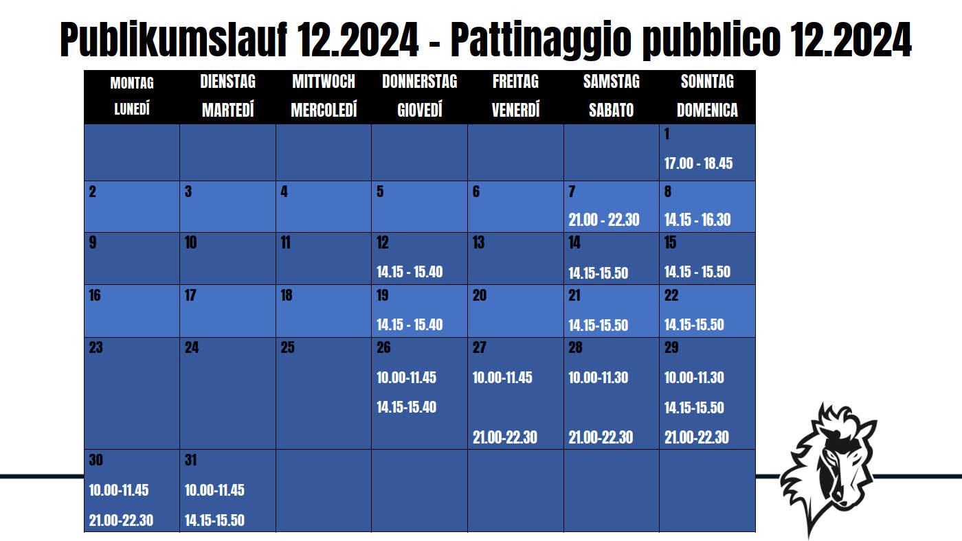 publikumslauf-2024-12